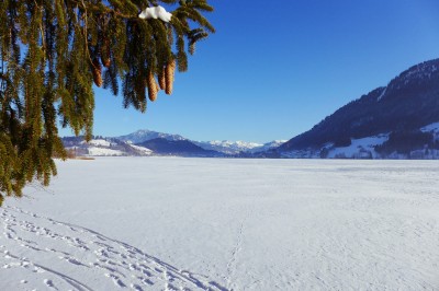 Winter - zugefrorener Großer Alpsee