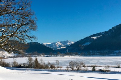 Großer Alpsee zugefroren, Januar 2018